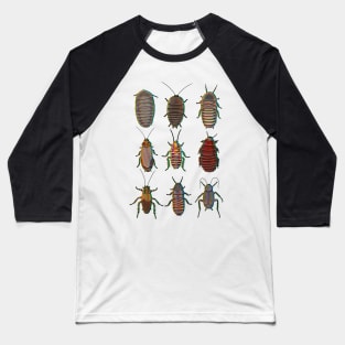 Chromatic cockroach pattern Baseball T-Shirt